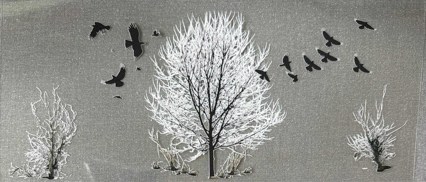 Crows #573