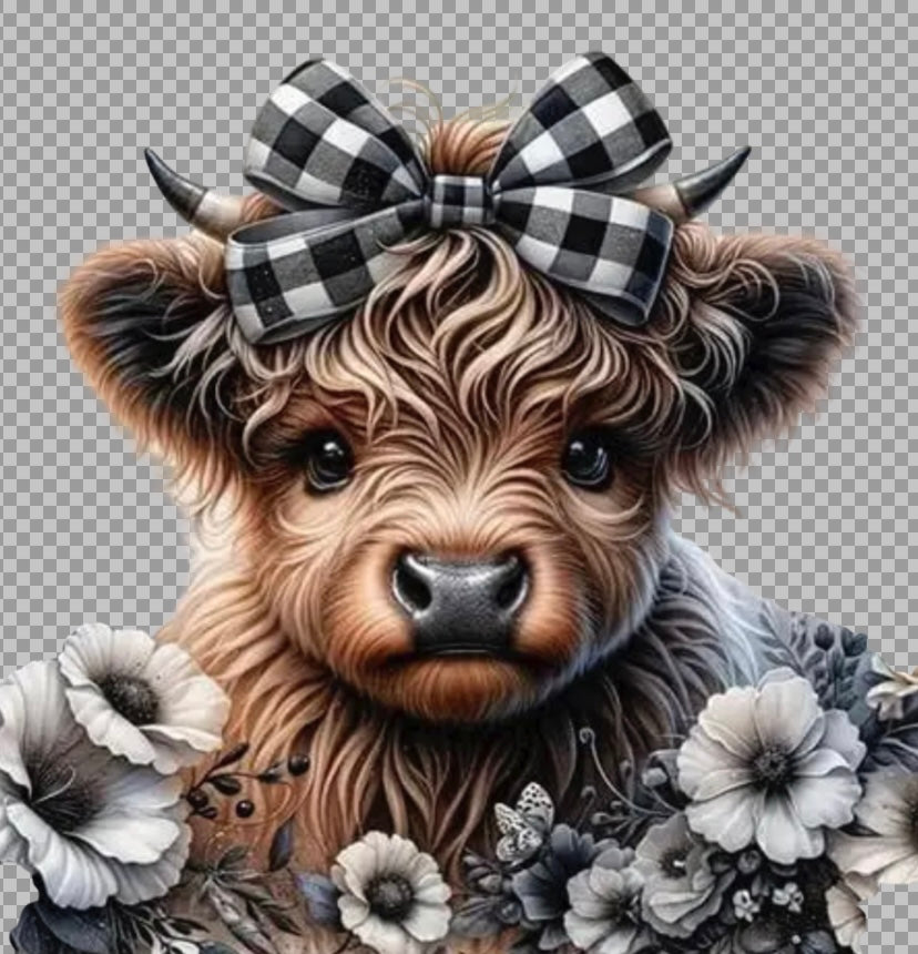 Highland cow Adult DTF