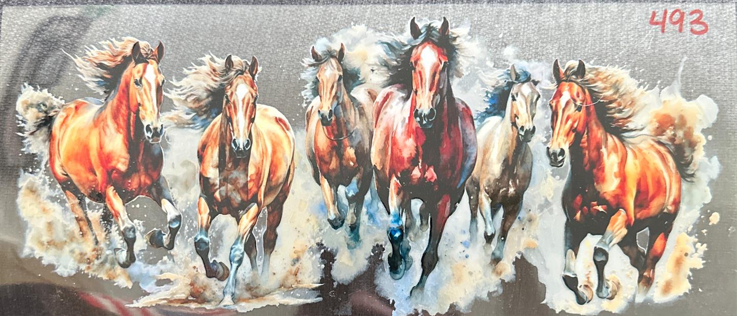 Horse #493