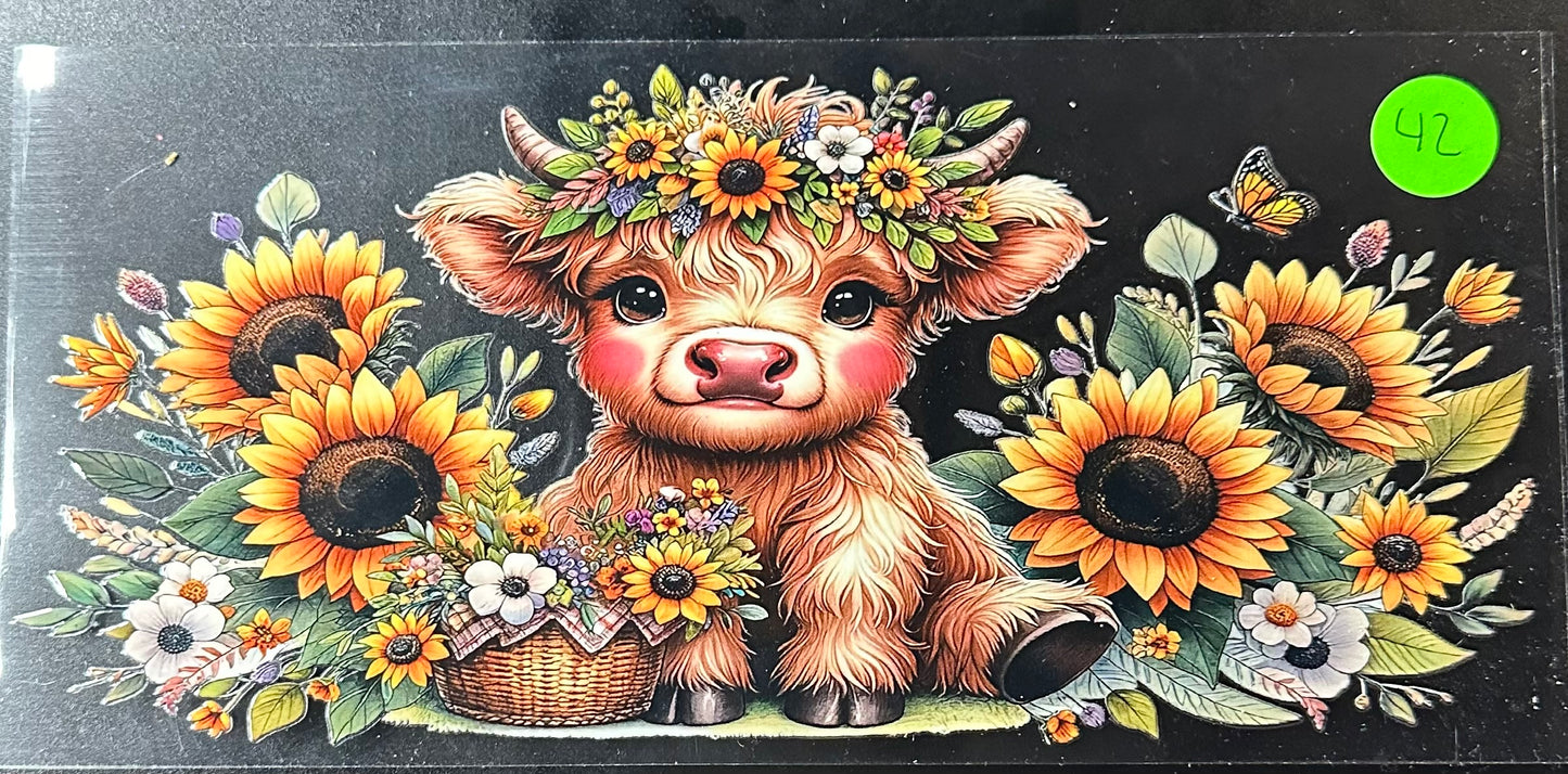 Cow #42