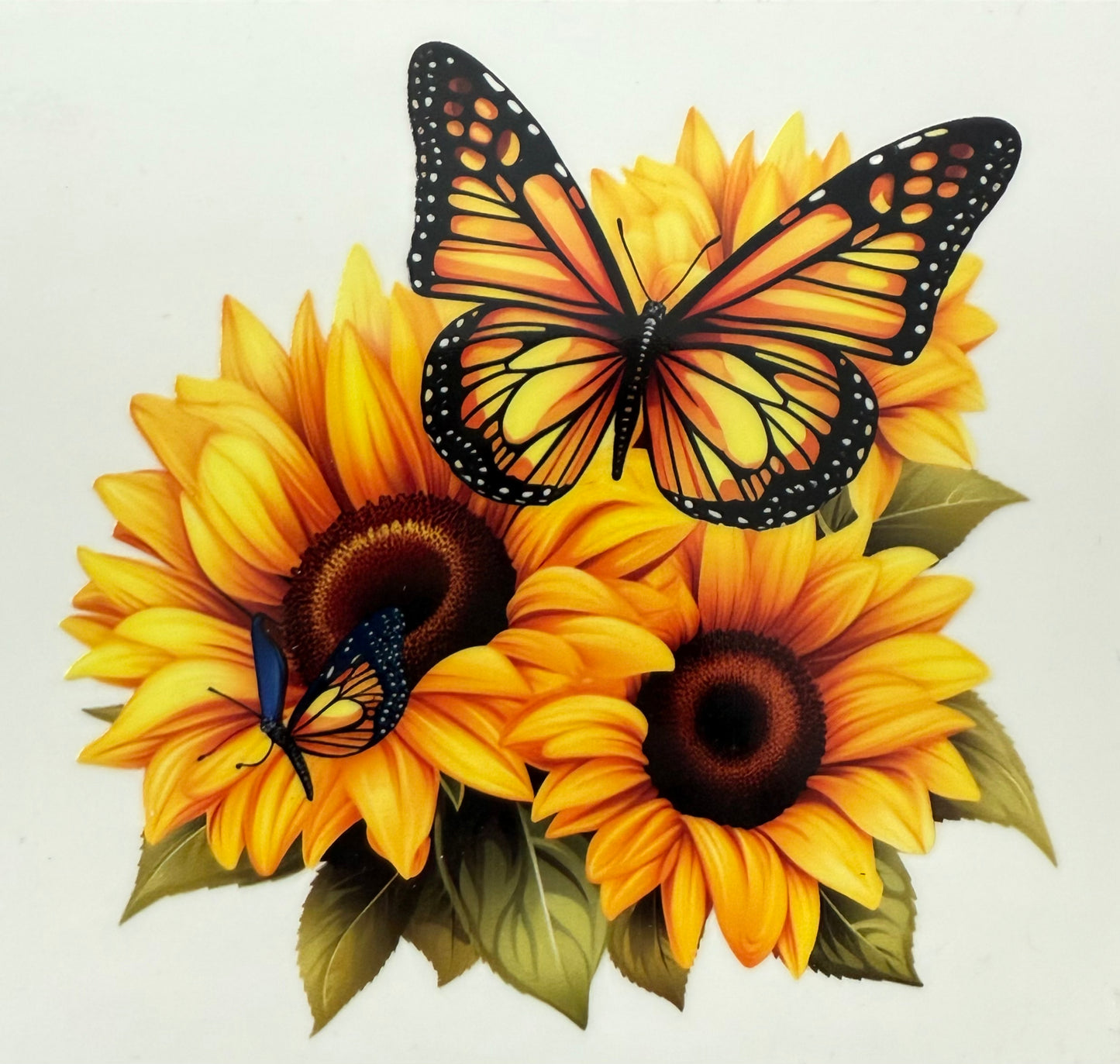 Butterfly Small #114
