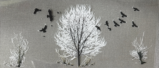 Crows #573
