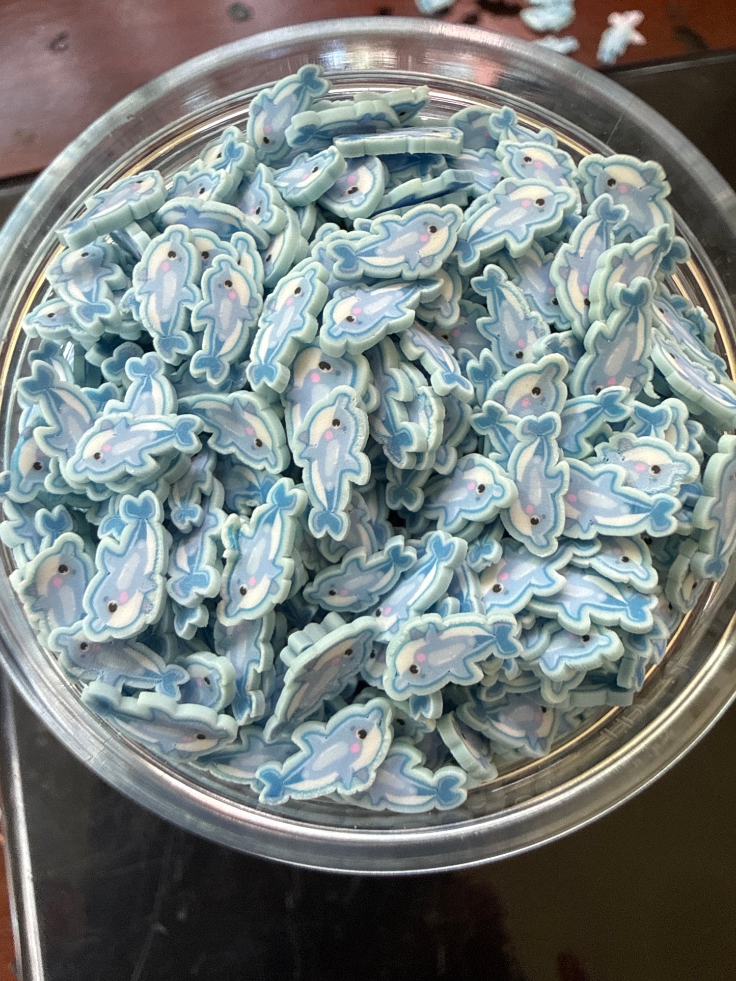 Dolphin Clay Slices