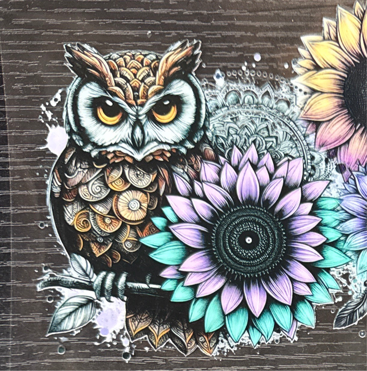 Owl #518