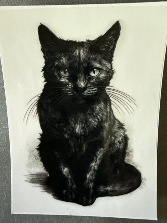 Black cat Small #145