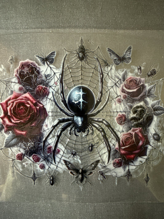 Spider Small #146