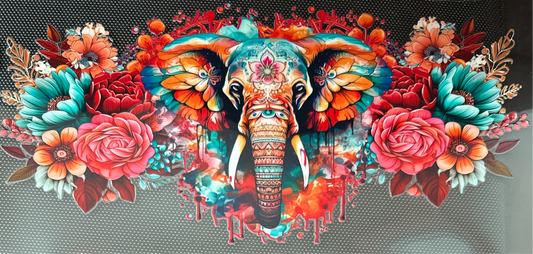 Elephant #215