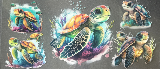 Turtle #77