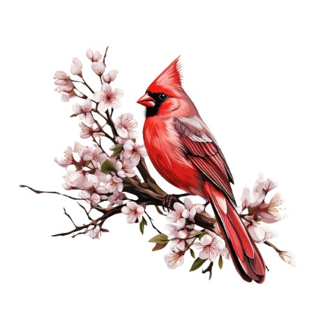 Cardinal Small #103