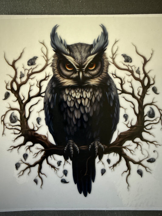 Owl Small #149