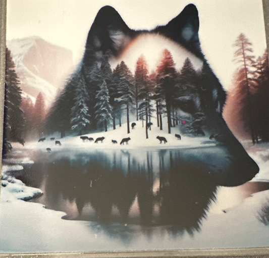 Wolf Small #92