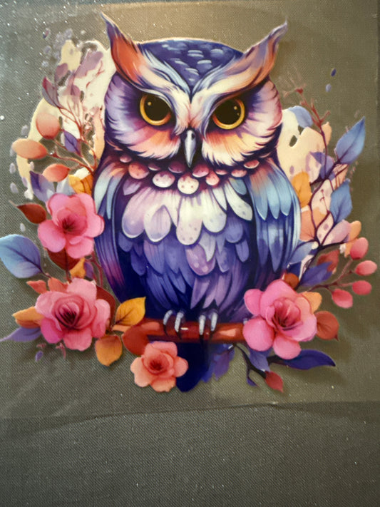 Owl Small #134