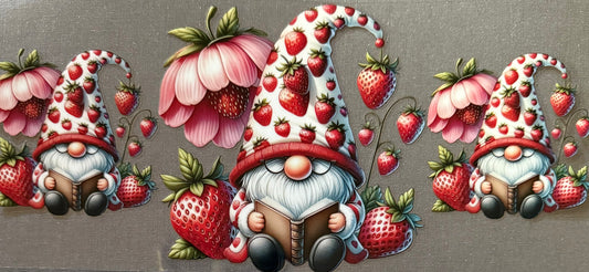 Strawberry Gnome #245