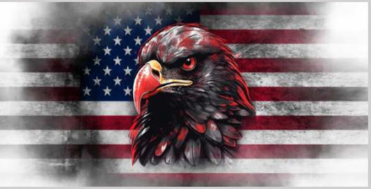 Patriotic #395
