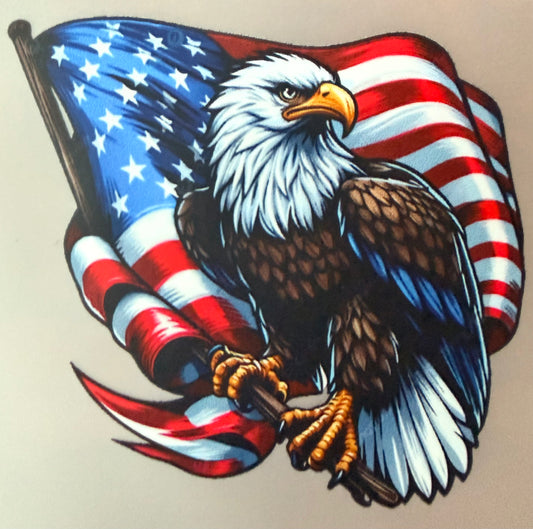 Eagle flag Hat DTF